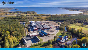 Превью каталога